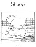 Sheep Coloring Page