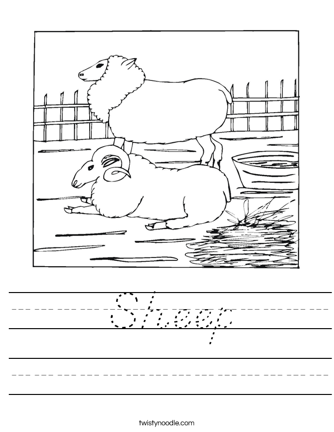Sheep Worksheet