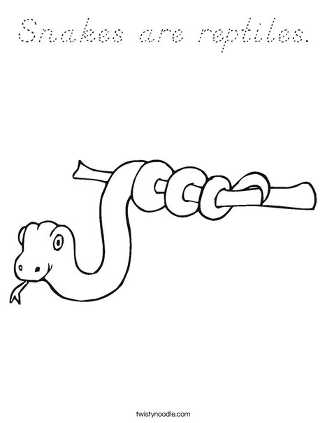 Snake on a Stick Coloring Page
