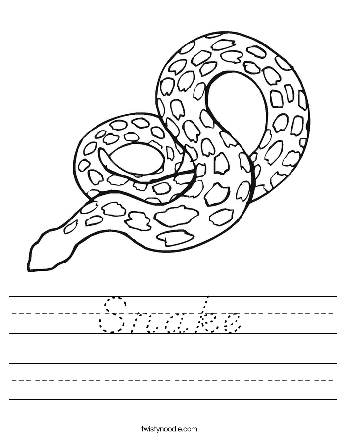 Snake Worksheet