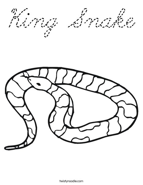 Striped Snake Coloring Page