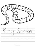 King Snake Worksheet