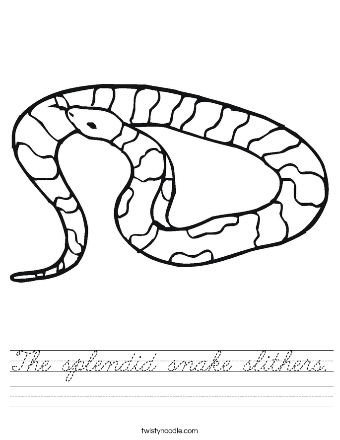 The splendid snake slithers. Worksheet