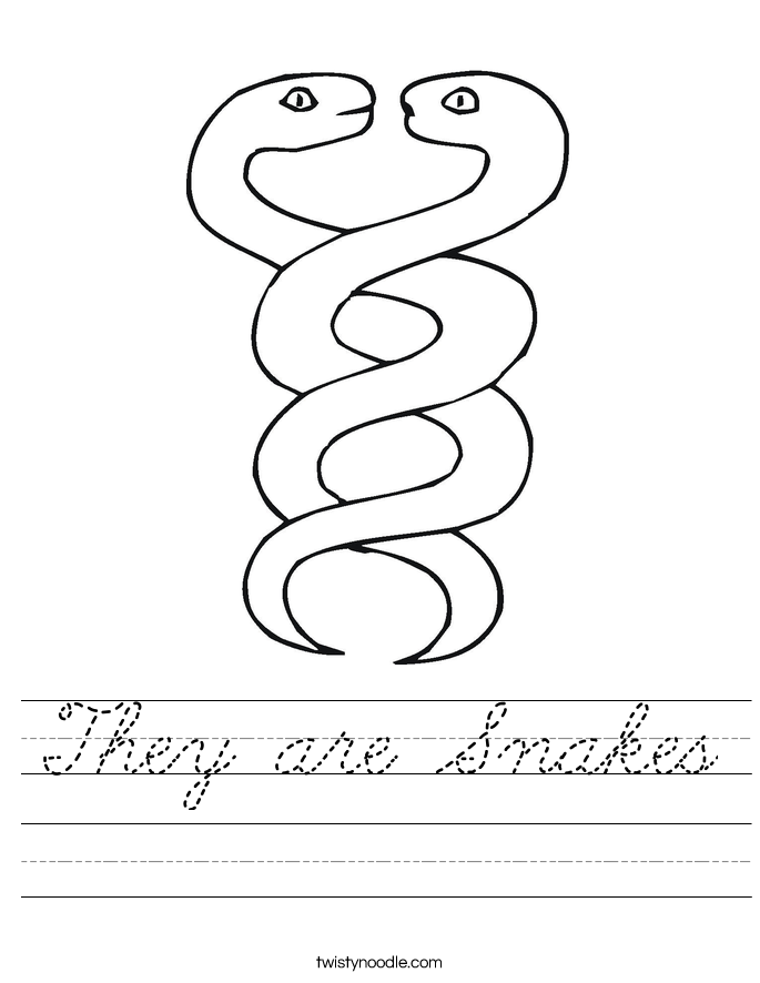 They are Snakes Worksheet