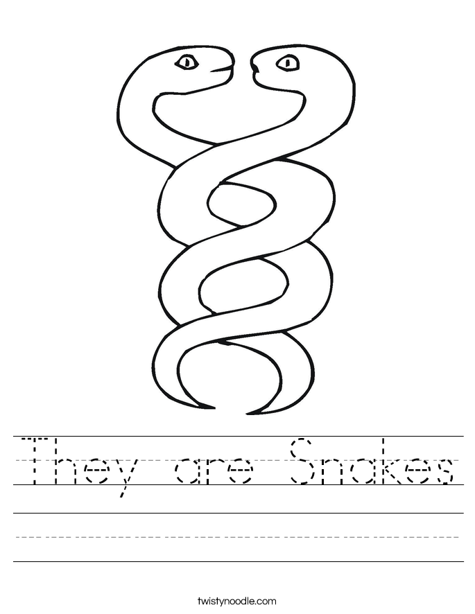 They are Snakes Worksheet