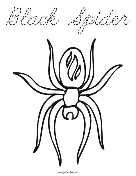 Spider with Markings Coloring Page