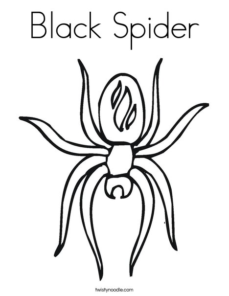 Spider with Markings Coloring Page