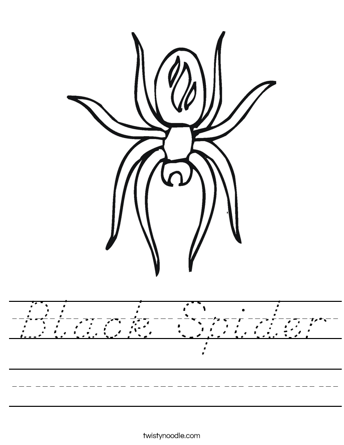 Black Spider Worksheet
