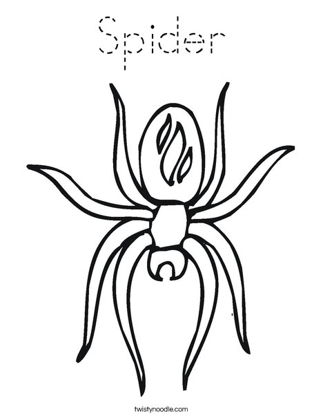 Spider with Markings Coloring Page