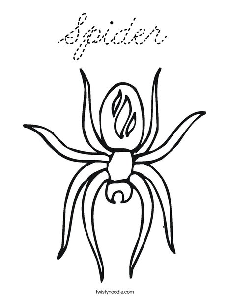 Spider with Markings Coloring Page