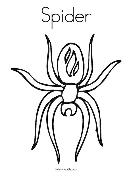 Spider with Markings Coloring Page