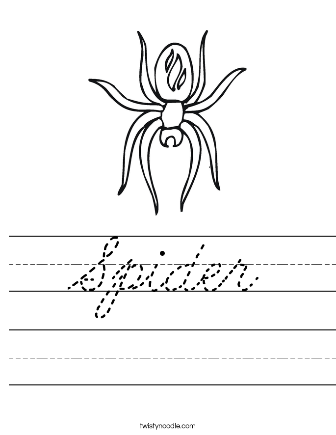 Spider Worksheet