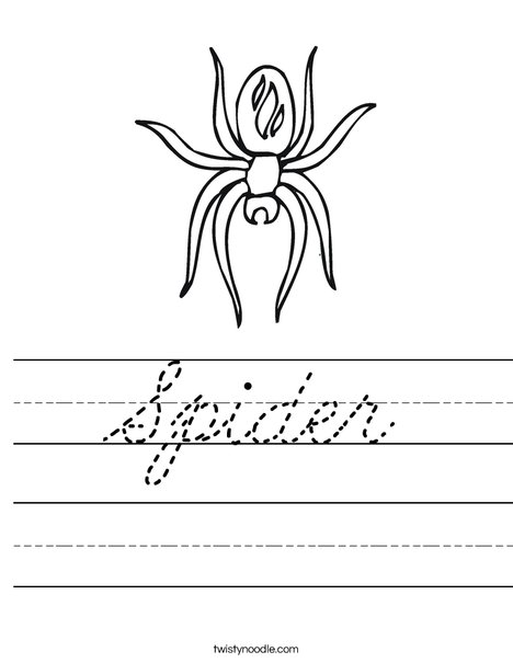 Spider with Markings Worksheet