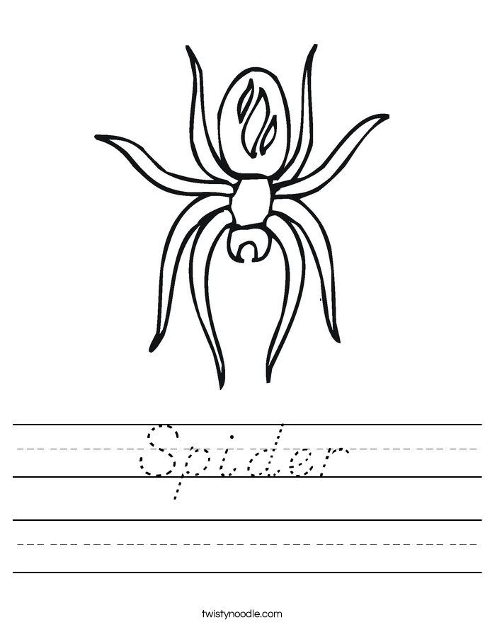 Spider Worksheet