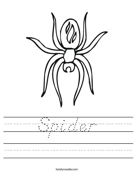 Spider with Markings Worksheet