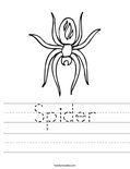 Spider Worksheet