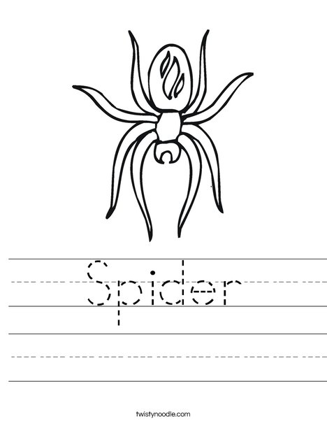 Spider with Markings Worksheet