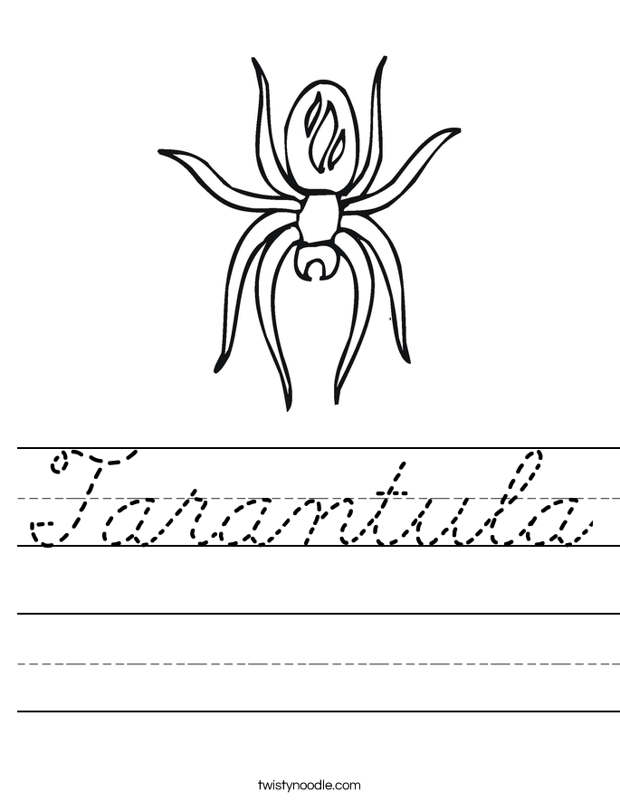 Tarantula Worksheet