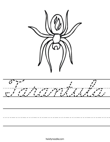 Spider with Markings Worksheet