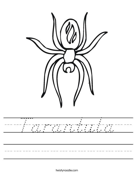 Spider with Markings Worksheet