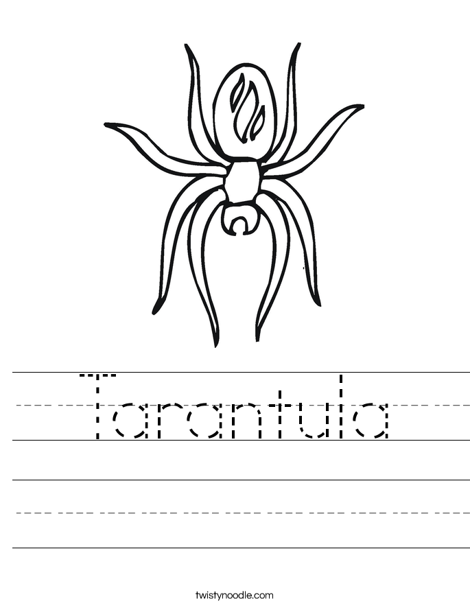 Tarantula Worksheet