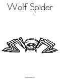 Wolf SpiderColoring Page
