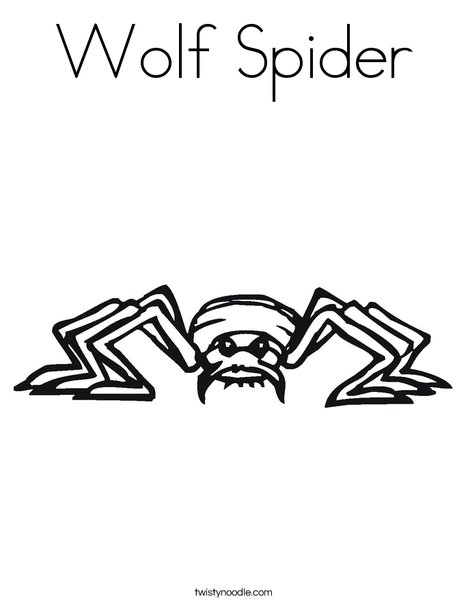 wolf spider coloring page twisty noodle