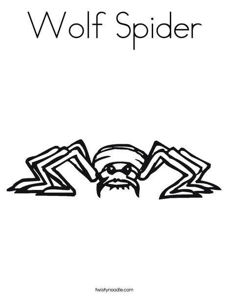 Wolf Spider Coloring Page - Twisty Noodle