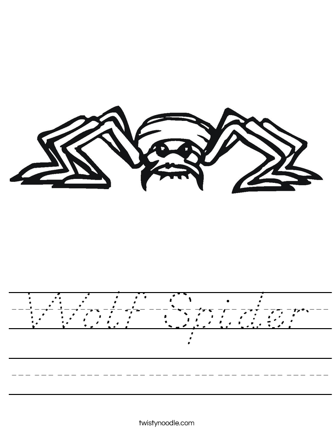 Wolf Spider Worksheet