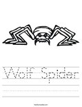 Wolf Spider Worksheet