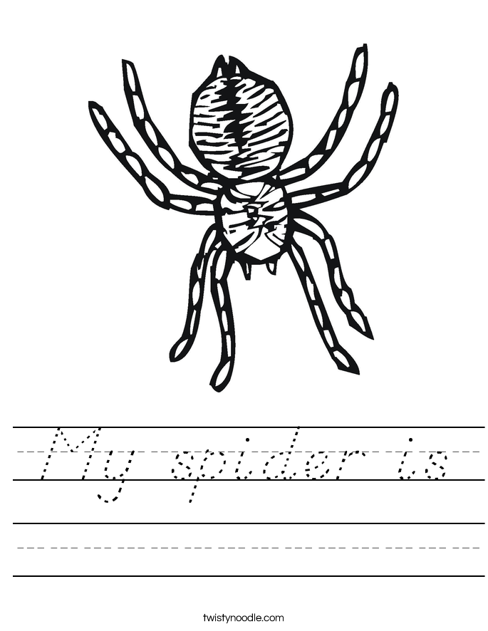 My spider is Worksheet
