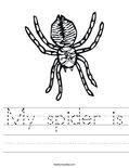 My spider is Worksheet