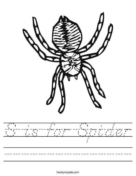 Spider Worksheet