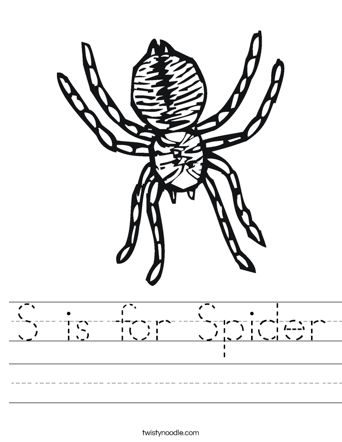 S is for Spider Worksheet