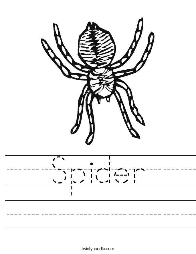 spider-worksheet-twisty-noodle