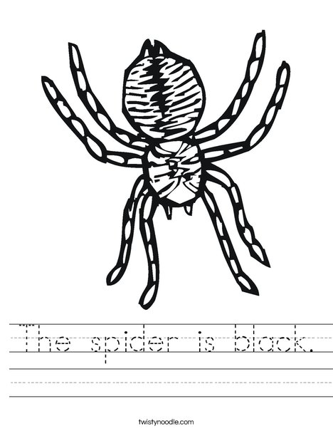 Spider Worksheet