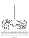 Draw a web for the spider. Worksheet