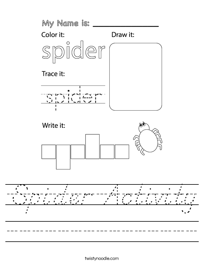 Spider Activity Worksheet