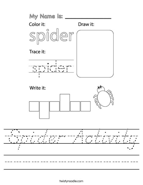 Spider Activity Worksheet