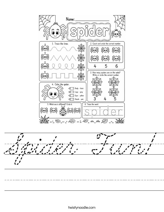 Spider Fun! Worksheet
