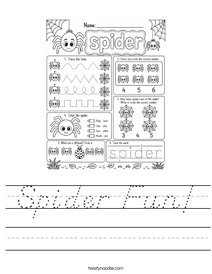 Spider Fun! Worksheet