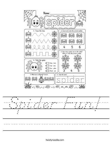 Spider Fun! Worksheet