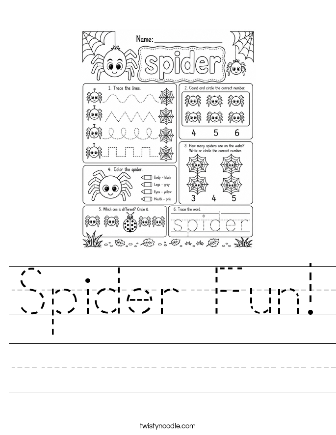 Spider Fun! Worksheet