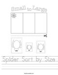 Spider Sort by Size Worksheet