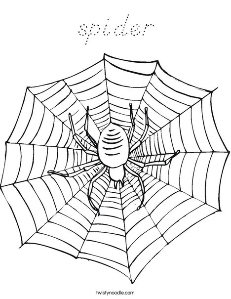 Spider with Web Coloring Page