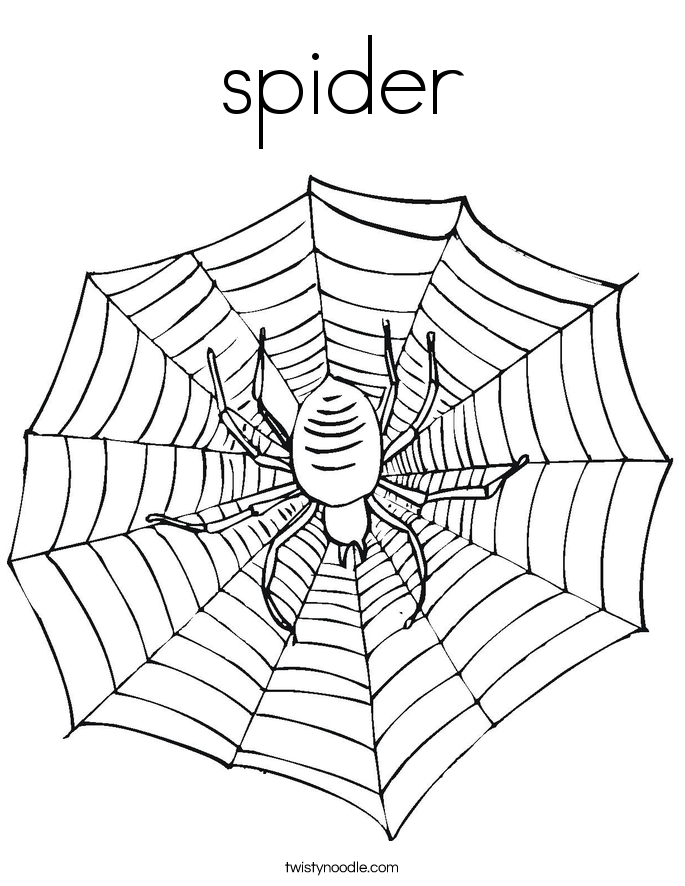 spider Coloring Page