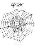 spider Coloring Page