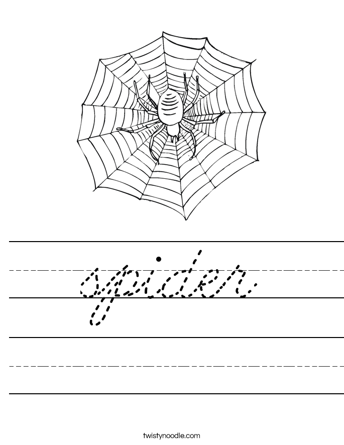 spider Worksheet