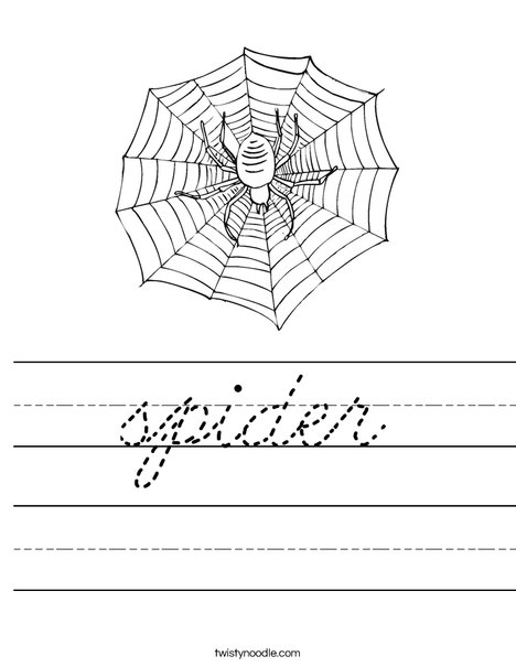 Spider with Web Worksheet