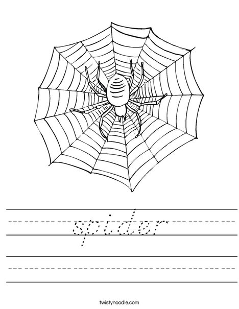 Spider with Web Worksheet
